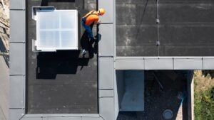 Untitled design (15)