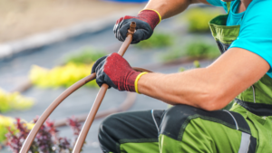 Untitled design (52)