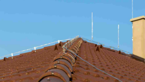 Untitled design (62)